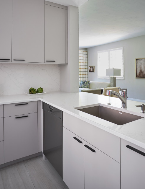 #Ultramatte Grey Getaway contemporary-kitchen