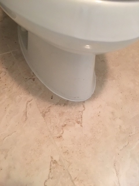Bathroom Porcelain Tiles Upgrade