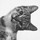 aaron_mackie24