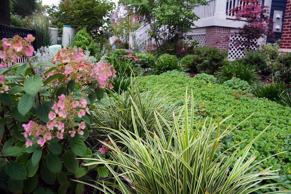 Arlington Heights Traditional Chicago Front Yard - Landscape - Chicago