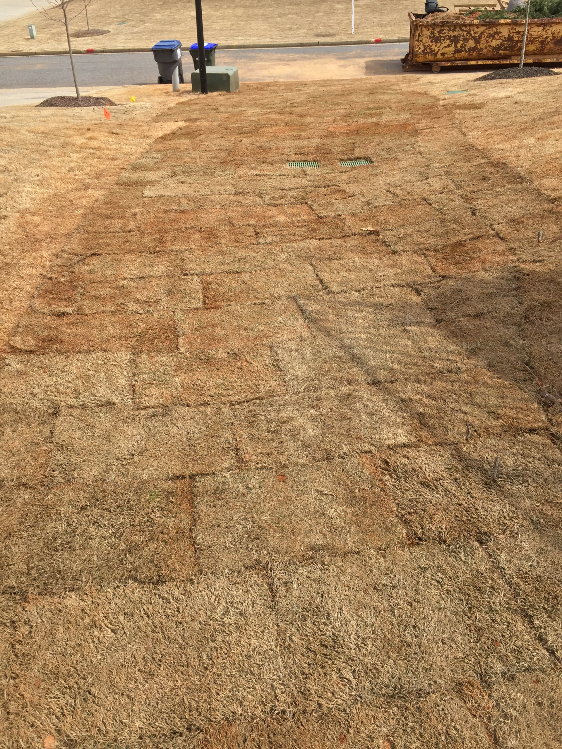 Alpharetta Yard Enhancements