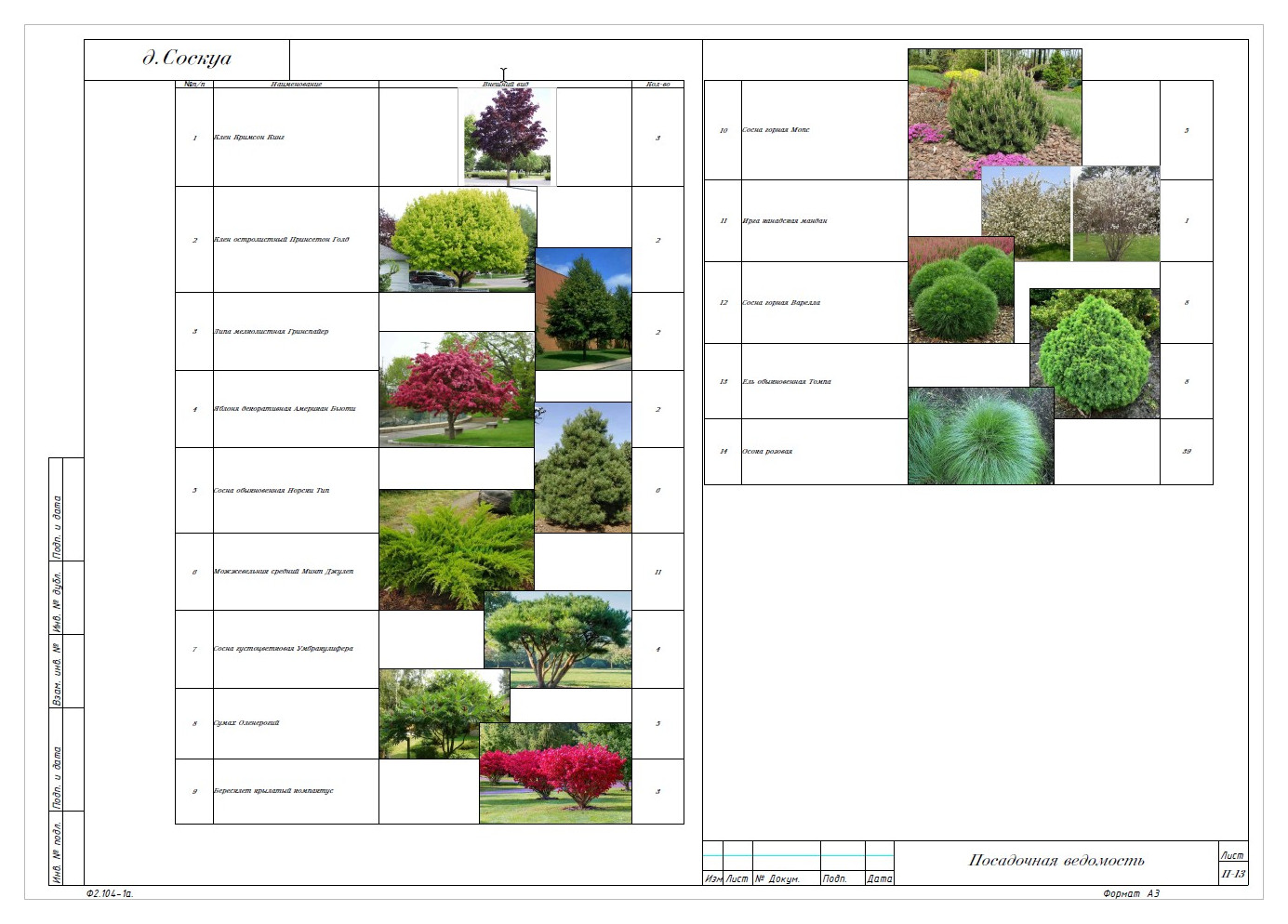 Соскуа. Проект базы отдыха