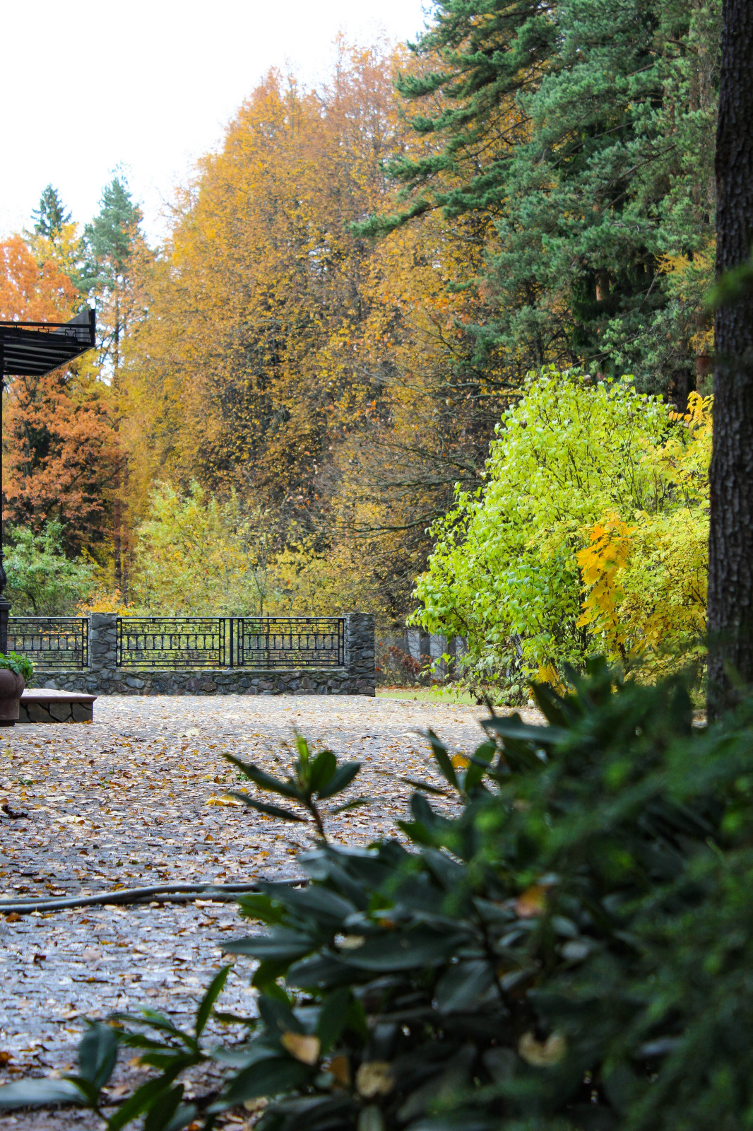 Генеральские дачи