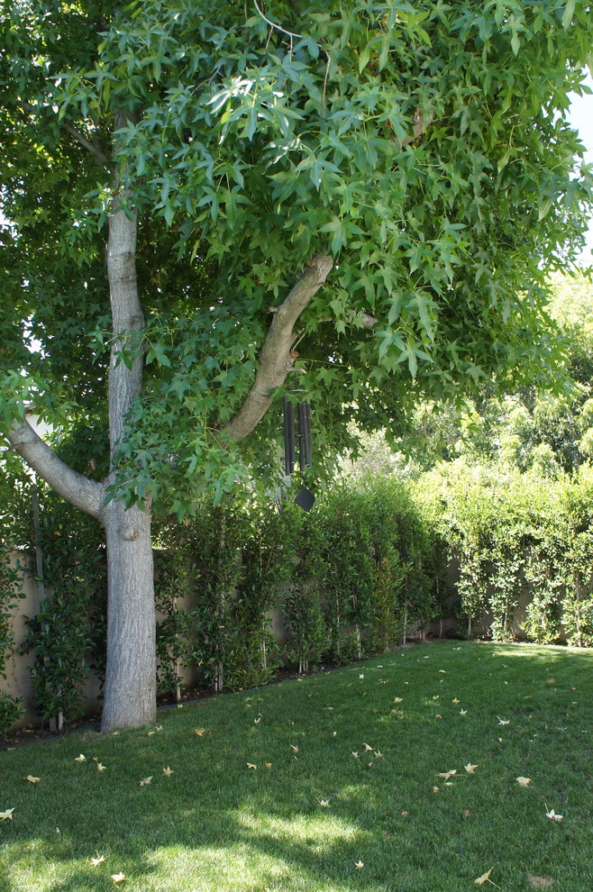 Inspiration for a small modern backyard full sun garden in Los Angeles.