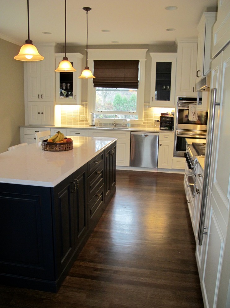 Transitional kitchen photo in Chicago