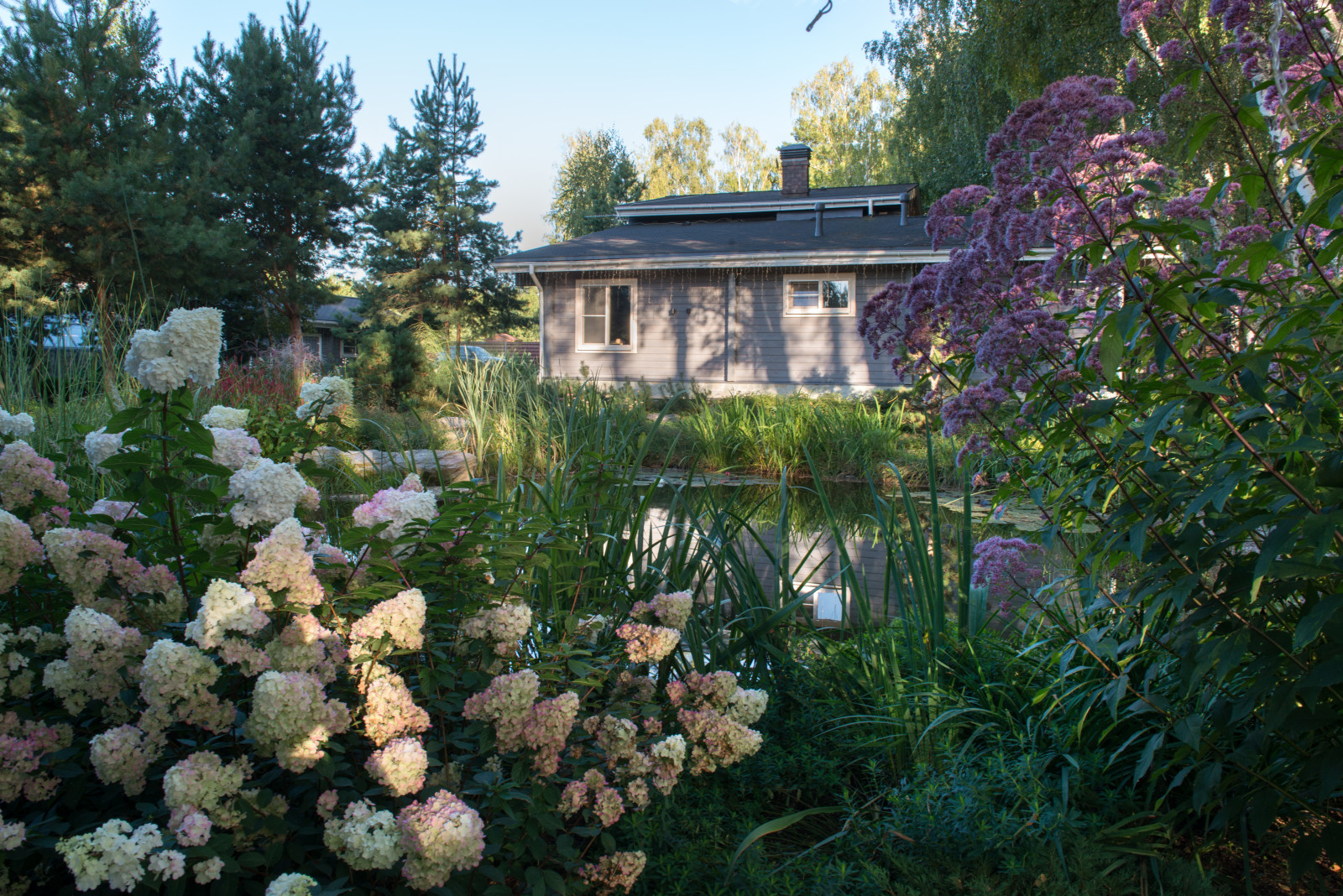 Озеро в лесу. Посёлок Приволье.