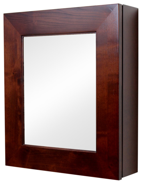 Wall Mount Mirrored Medicine Cabinet - Transitional - Medicine Cabinets