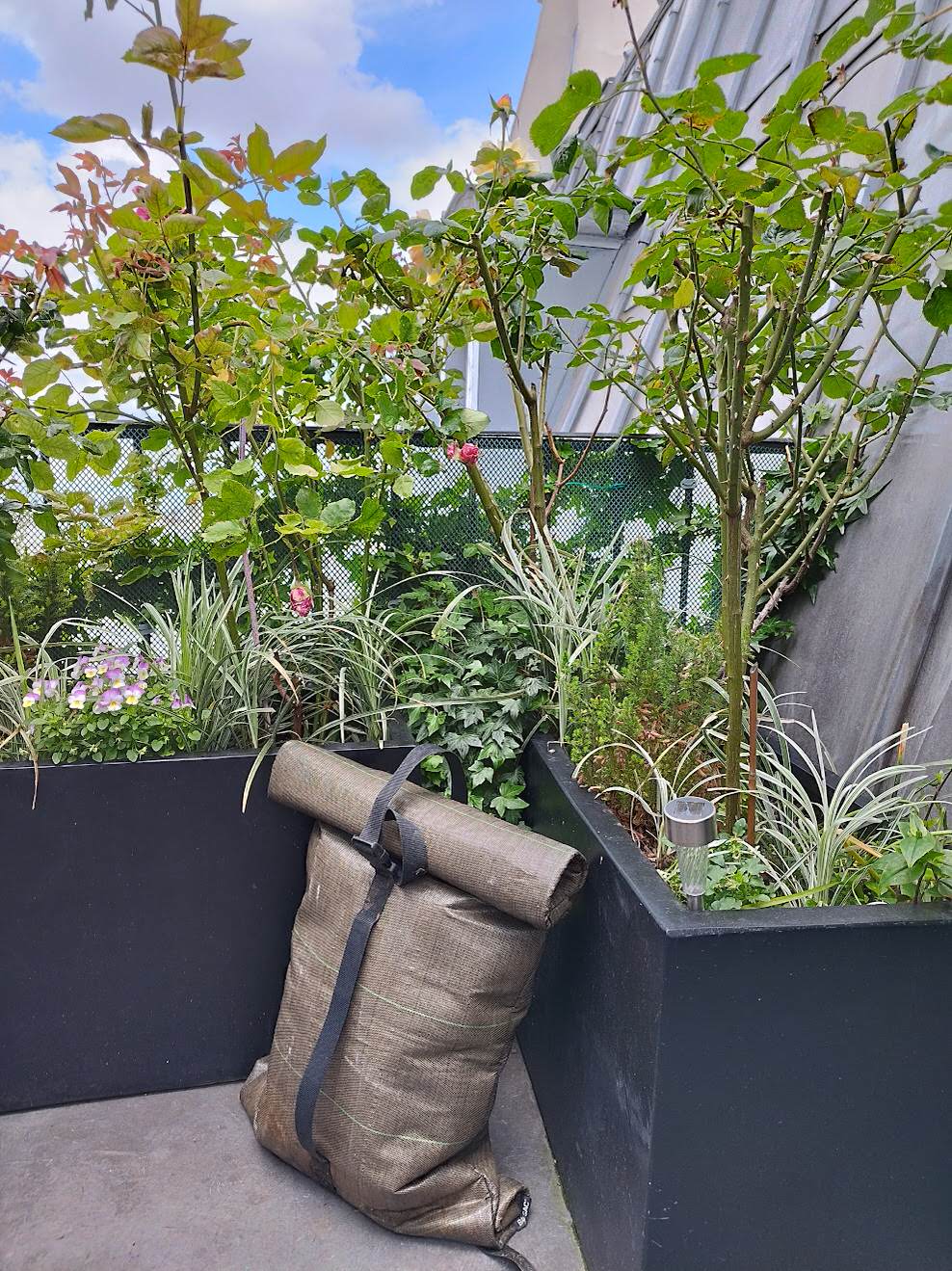 Plantes couvre-sol et composteur de terrasse.