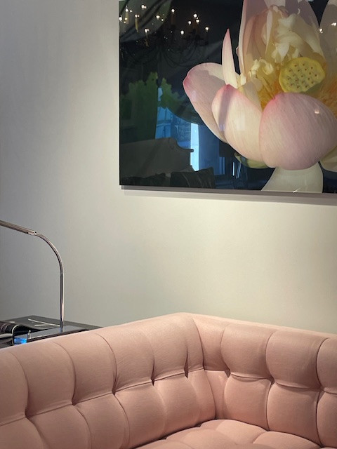 Laurel Feldman Photography