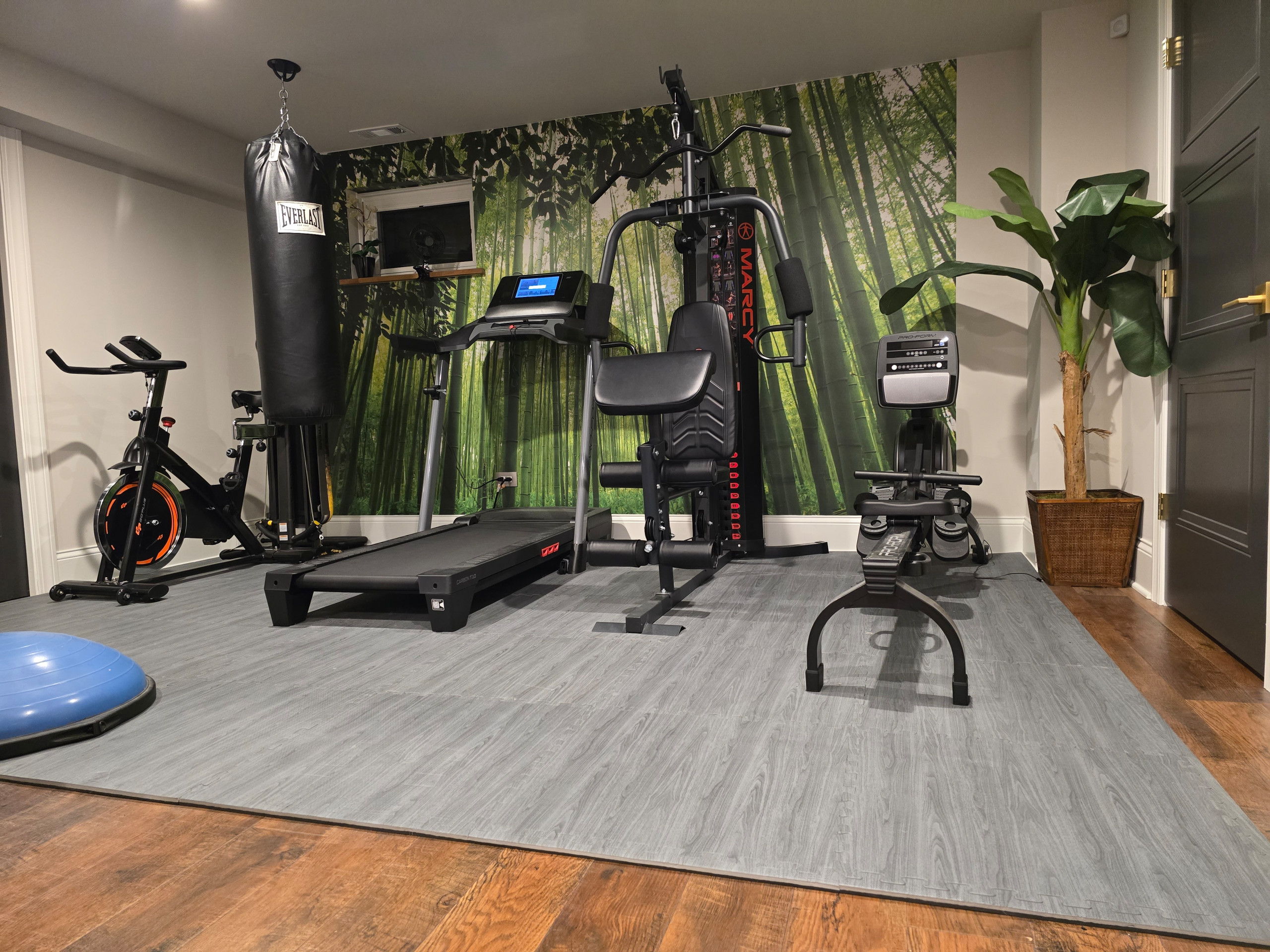 Full Basement renovation with exercise room, wine cellar, TV room and Sauna