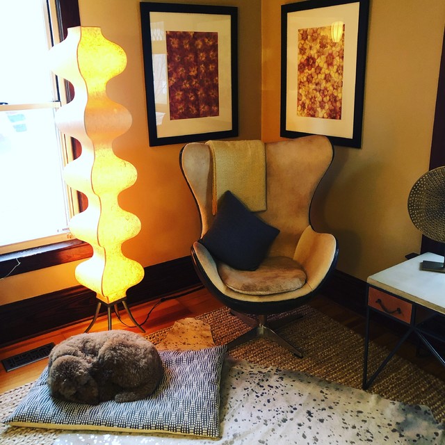 Contemporizing a 1906 Victorian modern-schlafzimmer