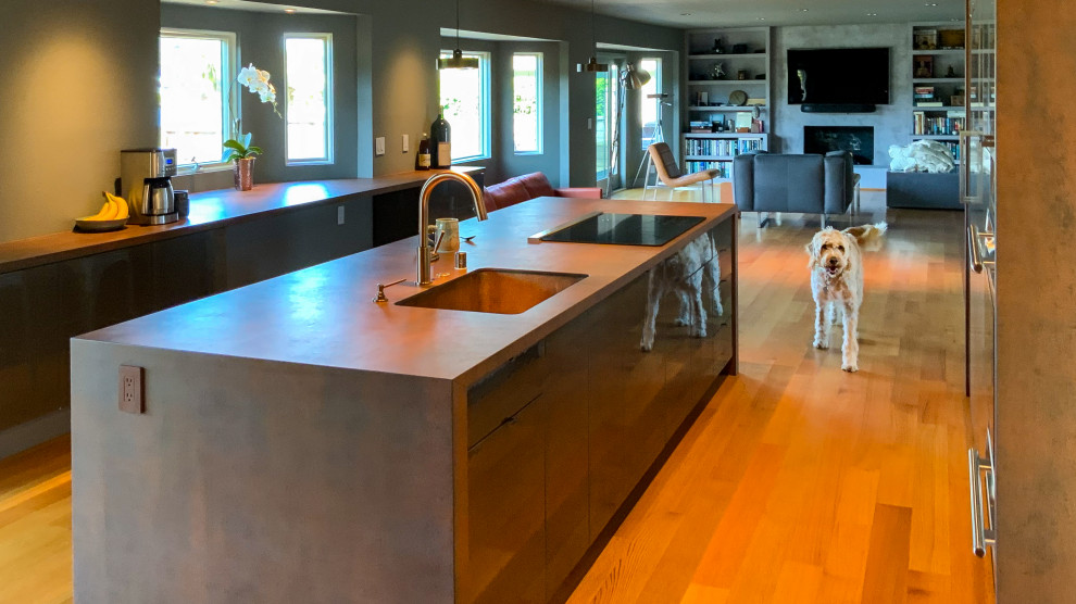 Modern Industrial Kitchen Remodel