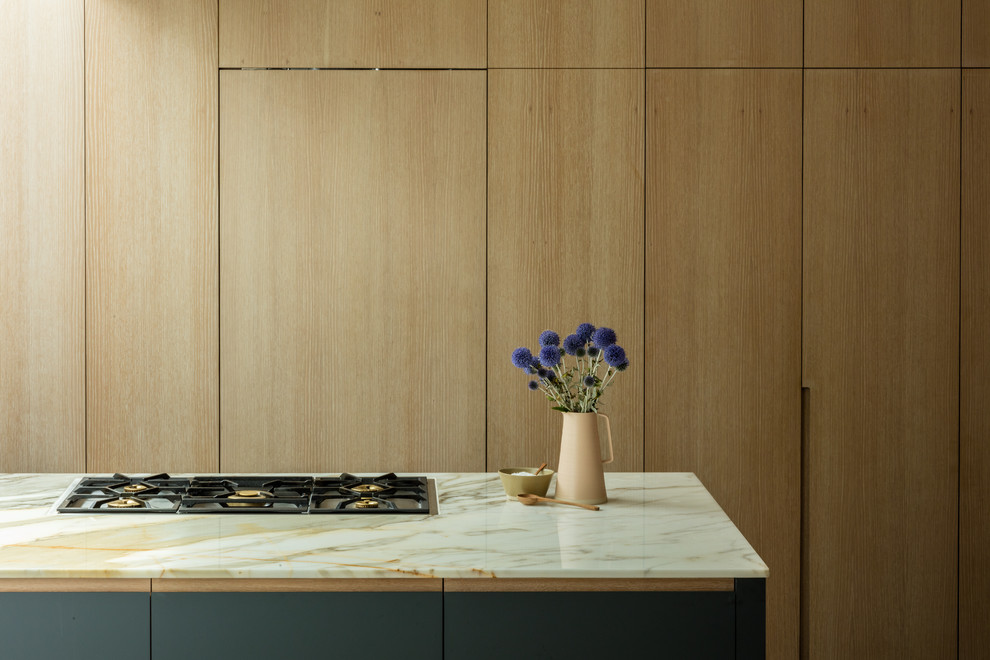 West Dulwich Kitchen - Modern - London - by Jacob Alexander Cabinet Makers