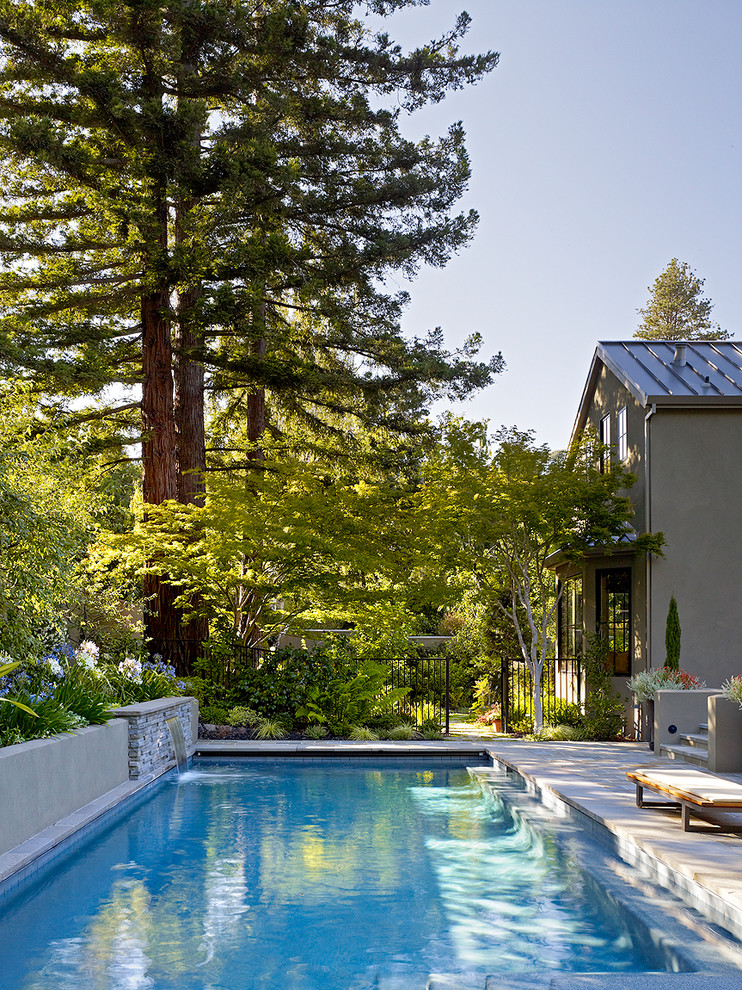 Contemporary Remodel and Addition, Central Marin County Contemporary