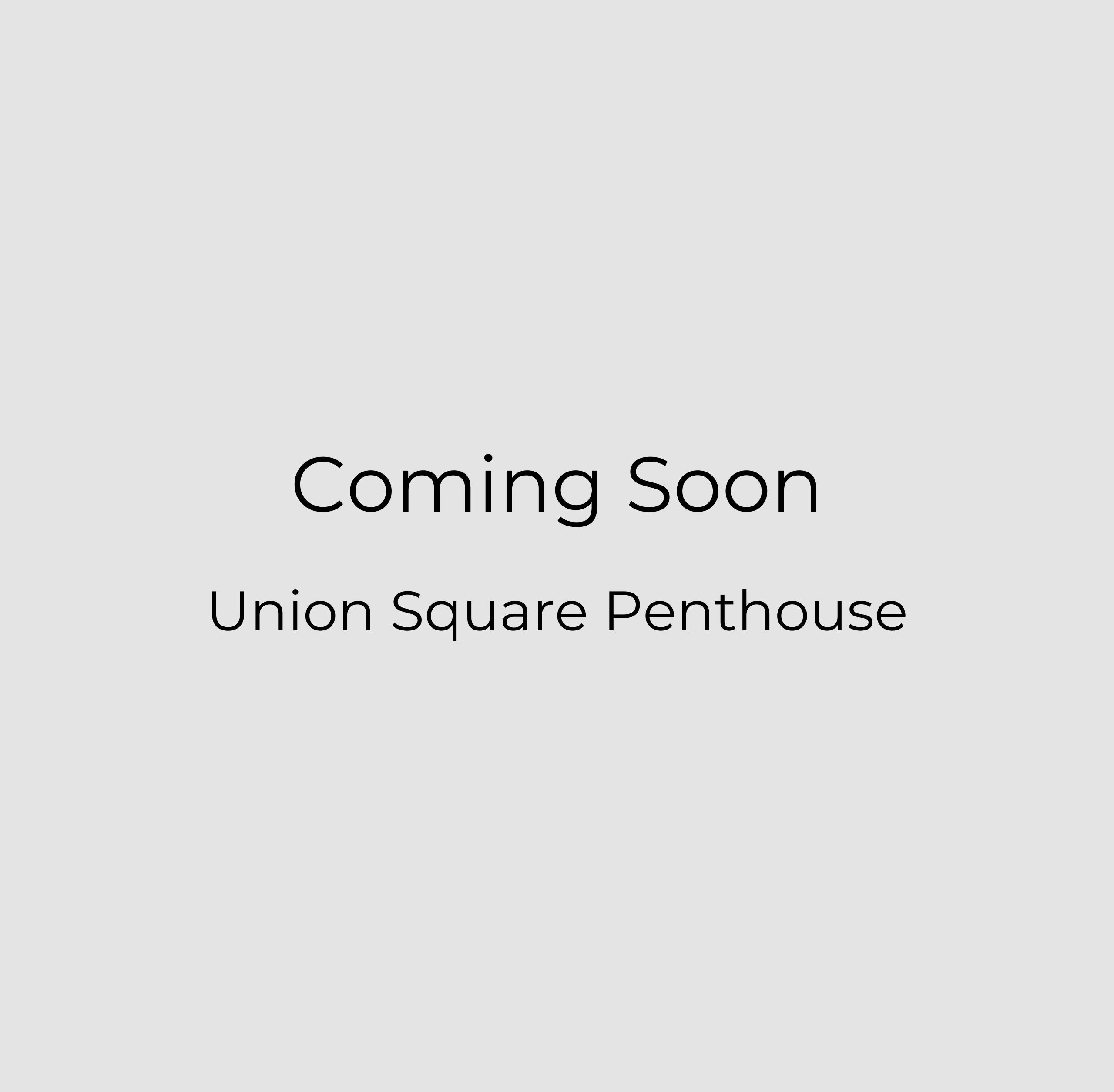 Union Square Penthouse