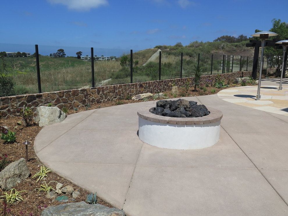 This is an example of a contemporary landscaping in San Diego.