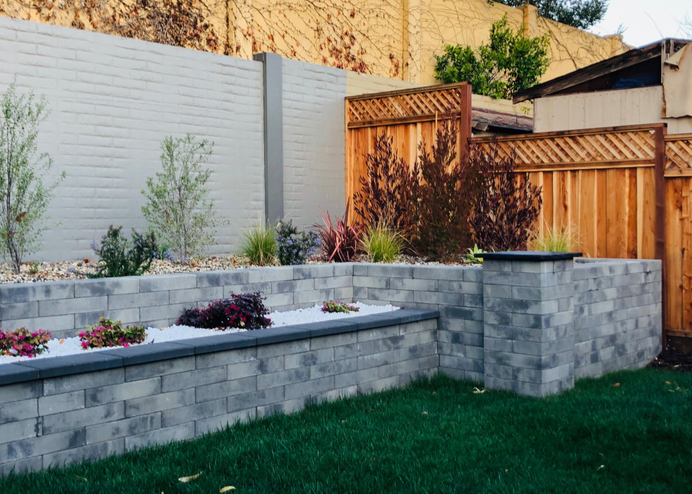 Inspiration for a mid-sized contemporary backyard full sun xeriscape in San Francisco with a retaining wall and a stone fence.