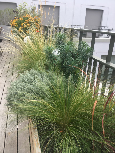 Langezogene Terrasse mit Hochbeeten aus Holz deck