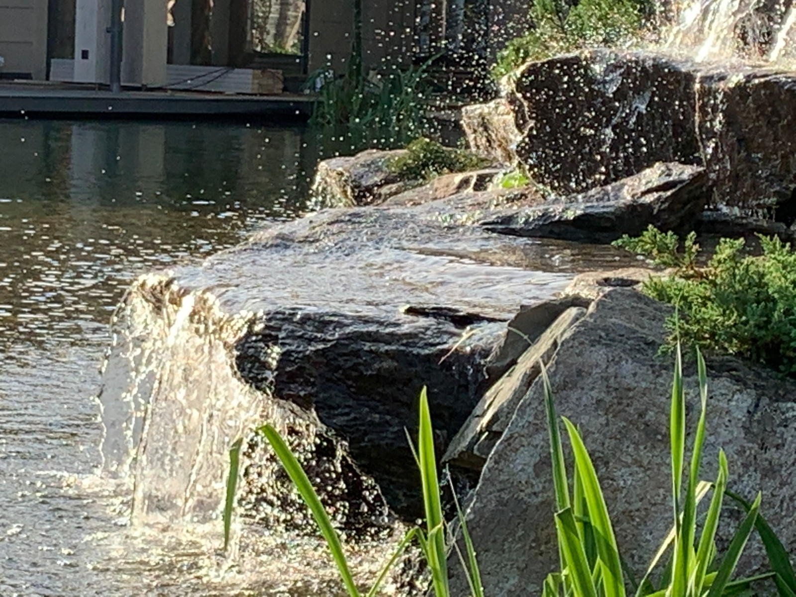 Ландшафт в поселке "Бенилюкс"