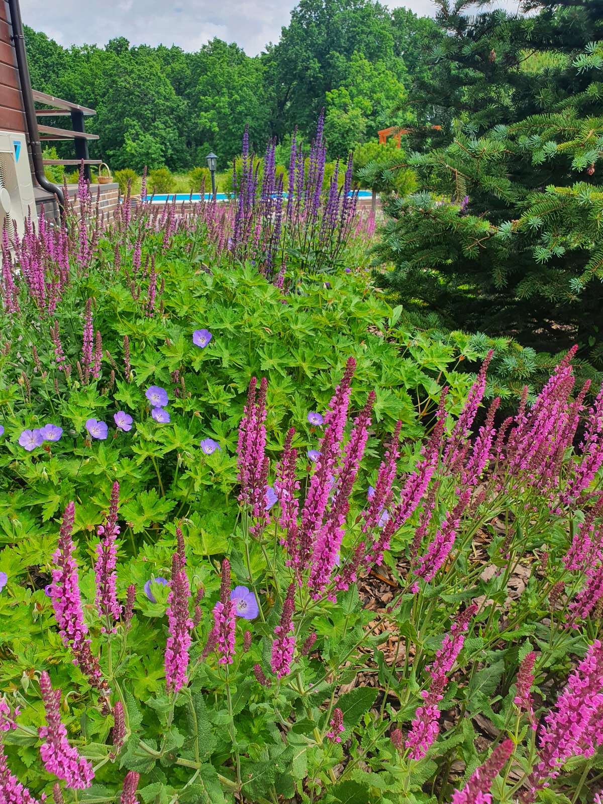 Сад с водоёмом