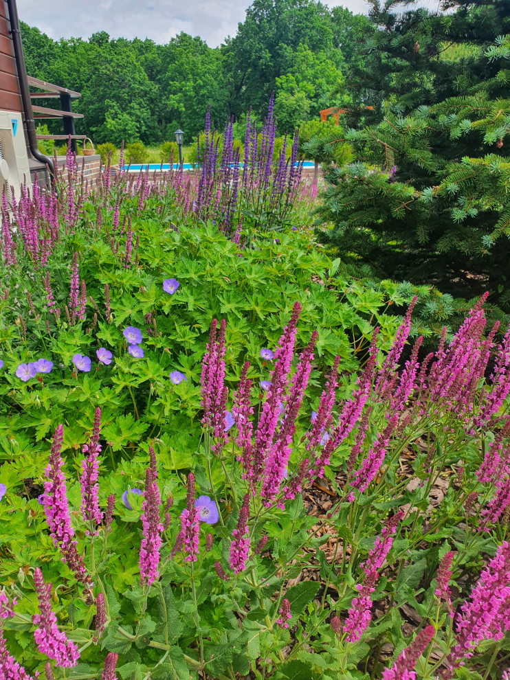 Сад с водоёмом