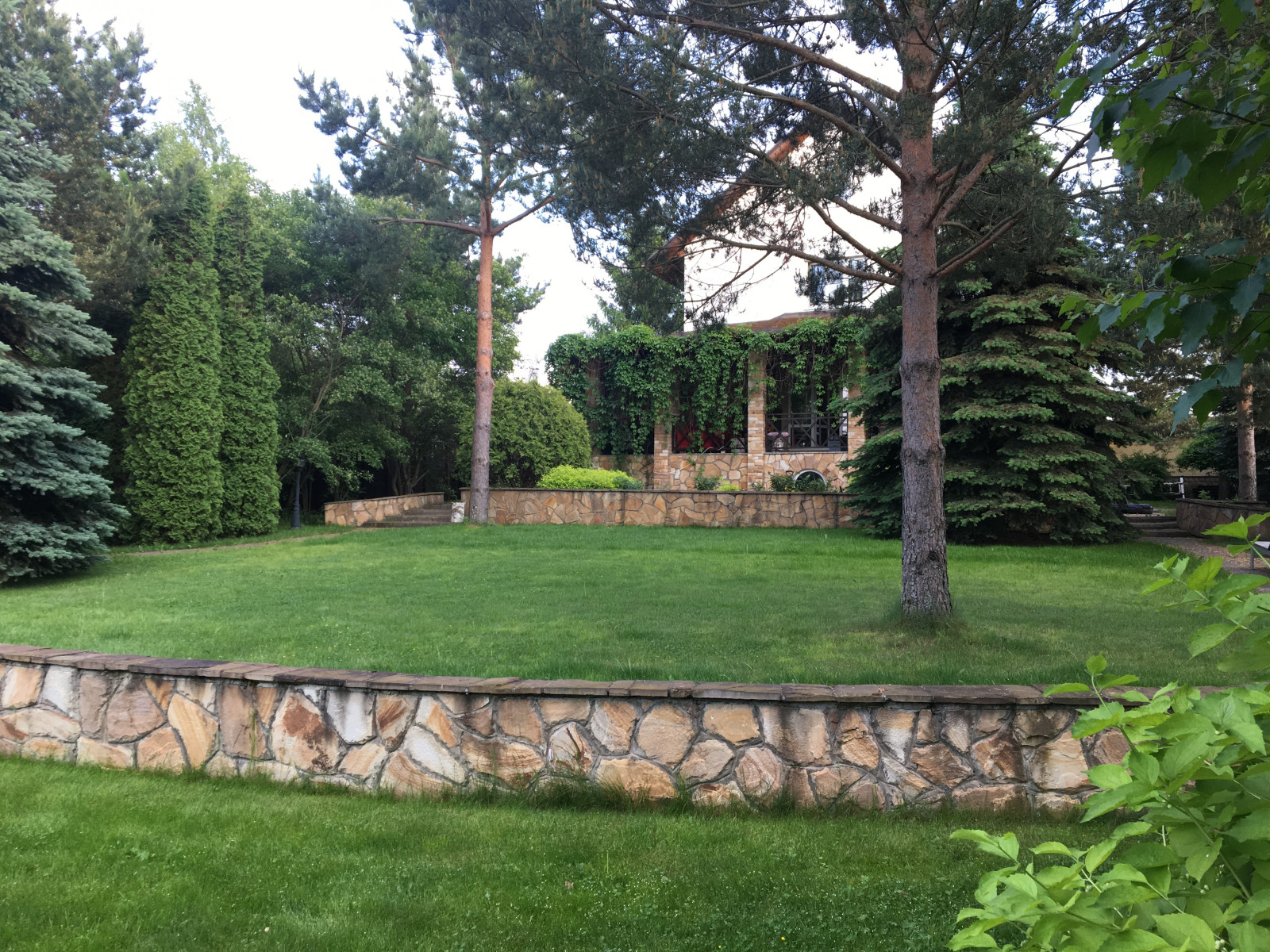 Круглое Озеро. Партерный газон.