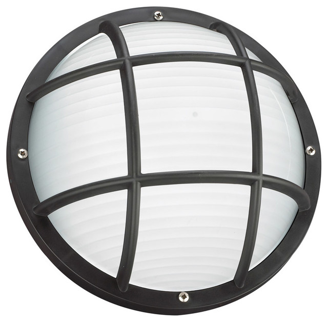 Bayside 1-Light Outdoor Wall/Ceiling Mount Black