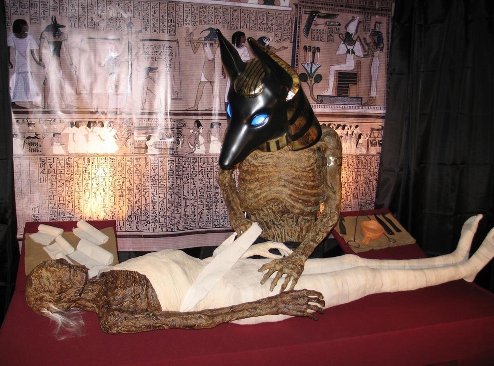 Передвижная выставка "Египетские мумии. У истоков времён"