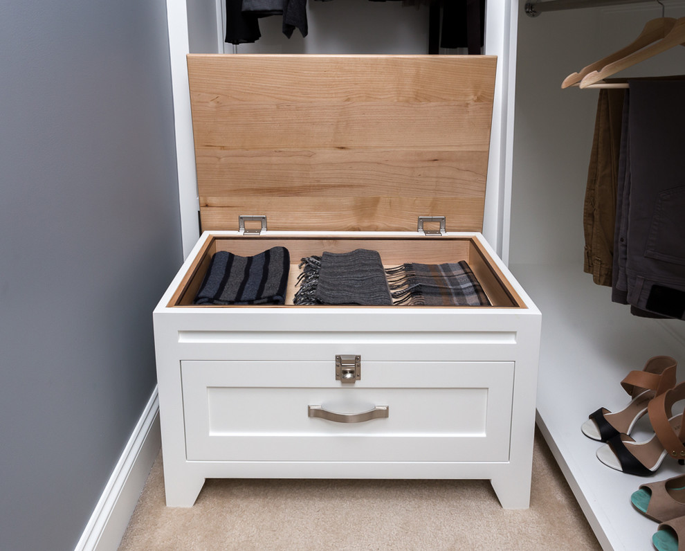 Inspiration for a transitional dressing room in Raleigh with shaker cabinets, white cabinets and carpet.