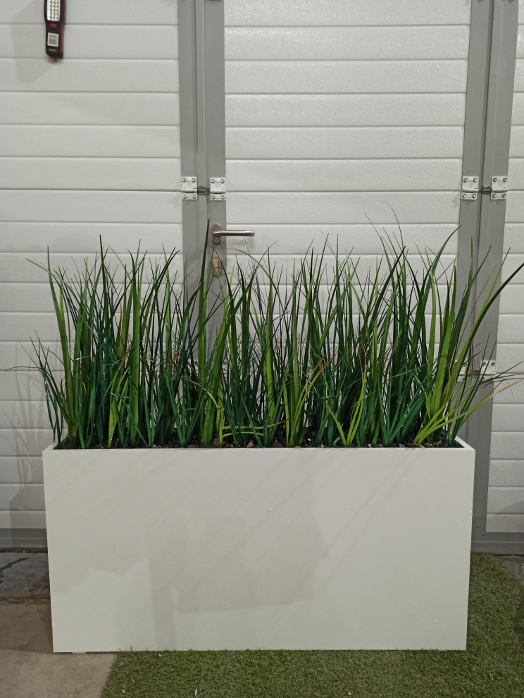 Трава осока (контейнерное озеленение)