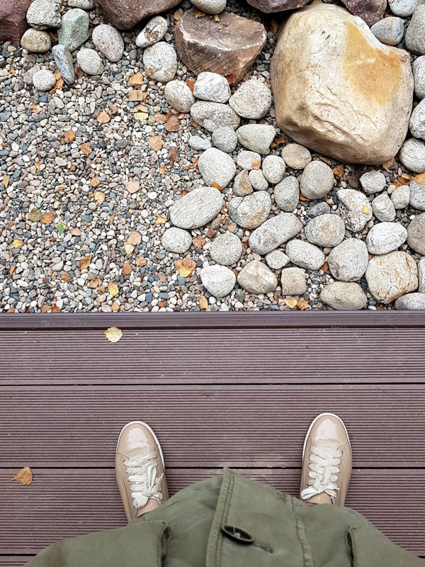 Пруд и берёзы