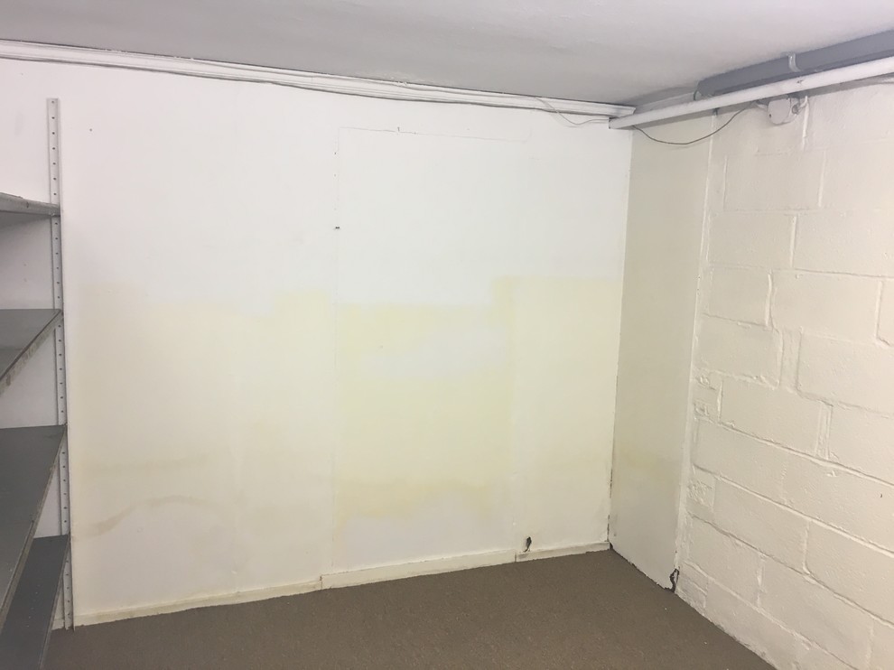 BASEMENT PAINTING!