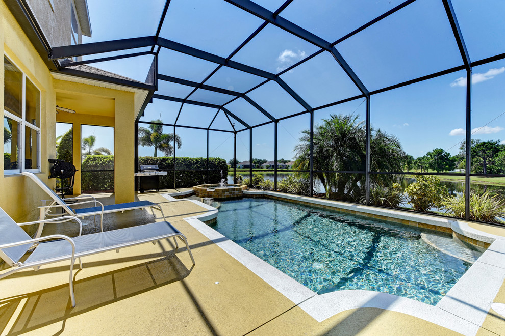 Inspiration for a tropical pool in Tampa.