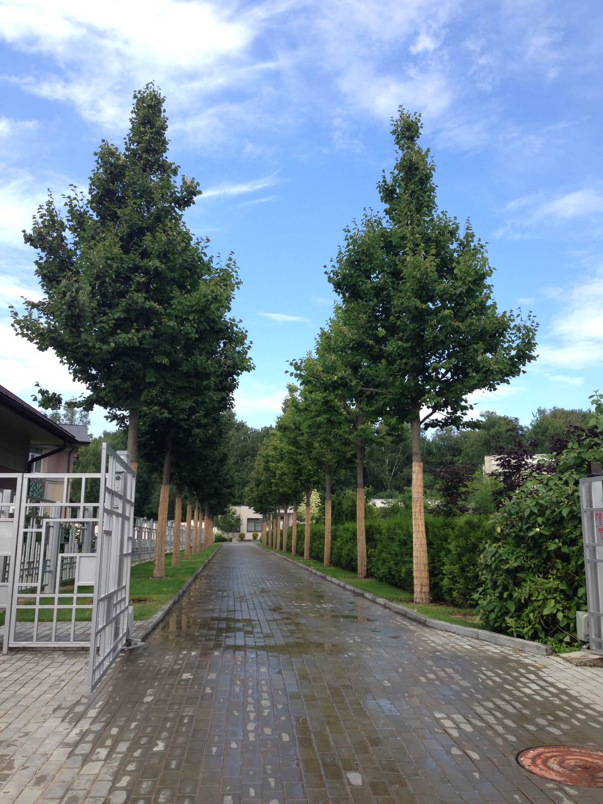 Наши работы