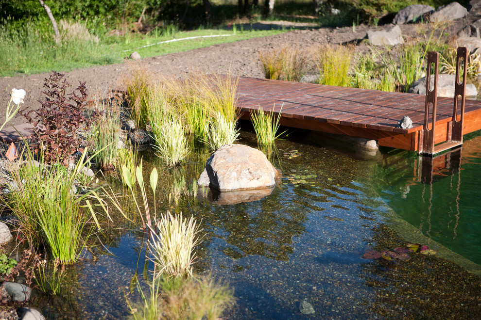 Inspiration for a large beach style backyard custom-shaped natural pool in San Francisco with gravel.