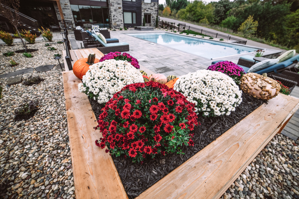 Example of a large transitional backyard concrete paver and rectangular hot tub design