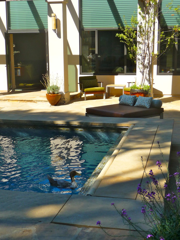 Mid-sized midcentury backyard rectangular lap pool in Los Angeles with concrete slab.