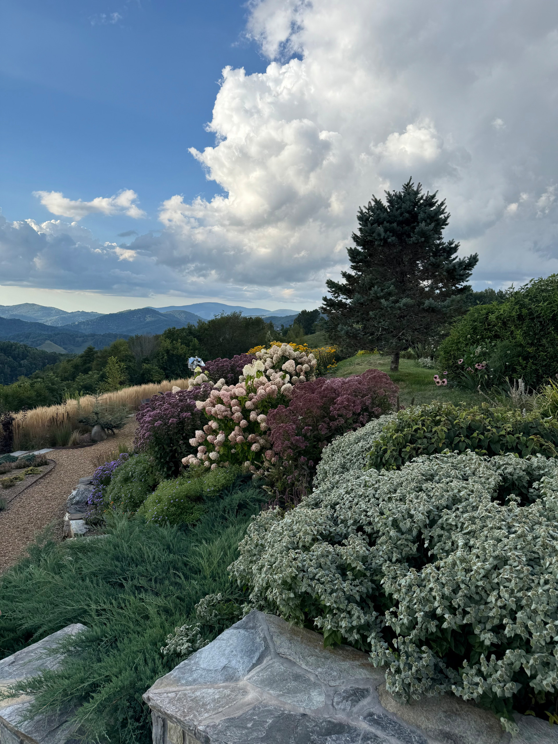 Yard of the Week: Mountaintop Garden Bursting With Color