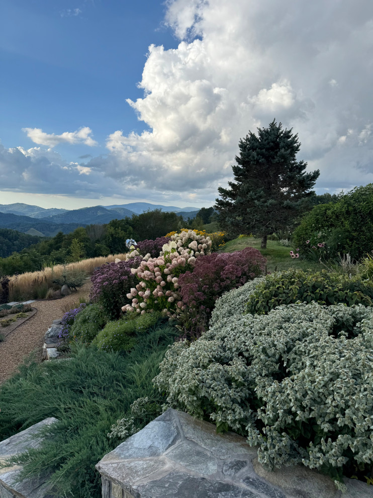 Inspiration for an eclectic full sun landscaping in Charlotte.