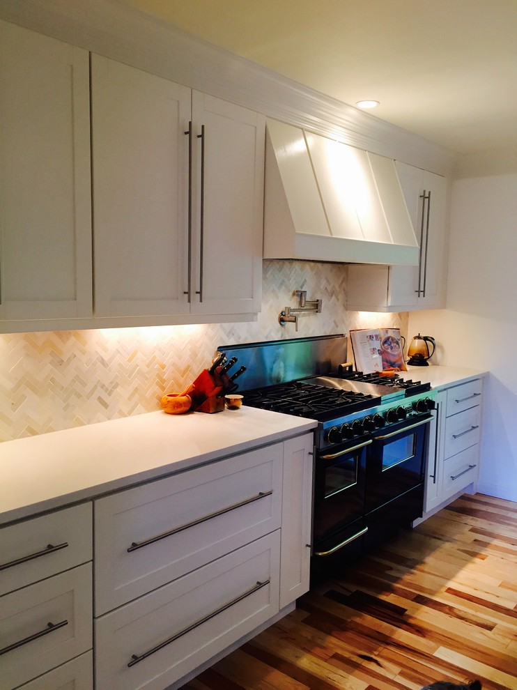 Transitional kitchen photo in Denver