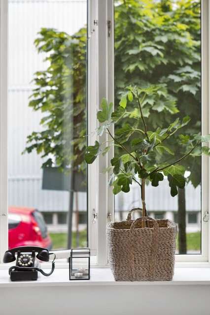 Slottskogsgatan 11A skandinavisk