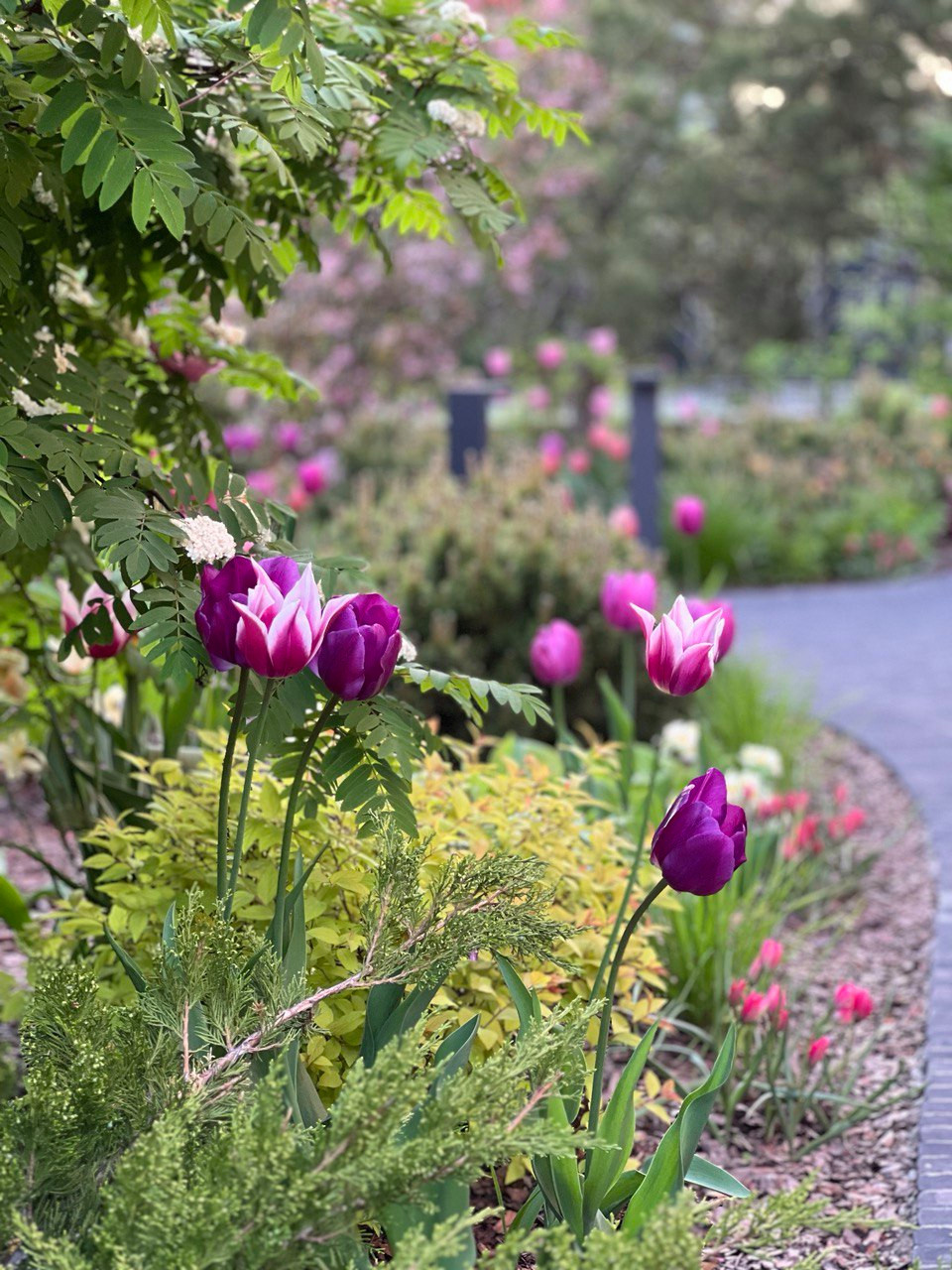 Английская история