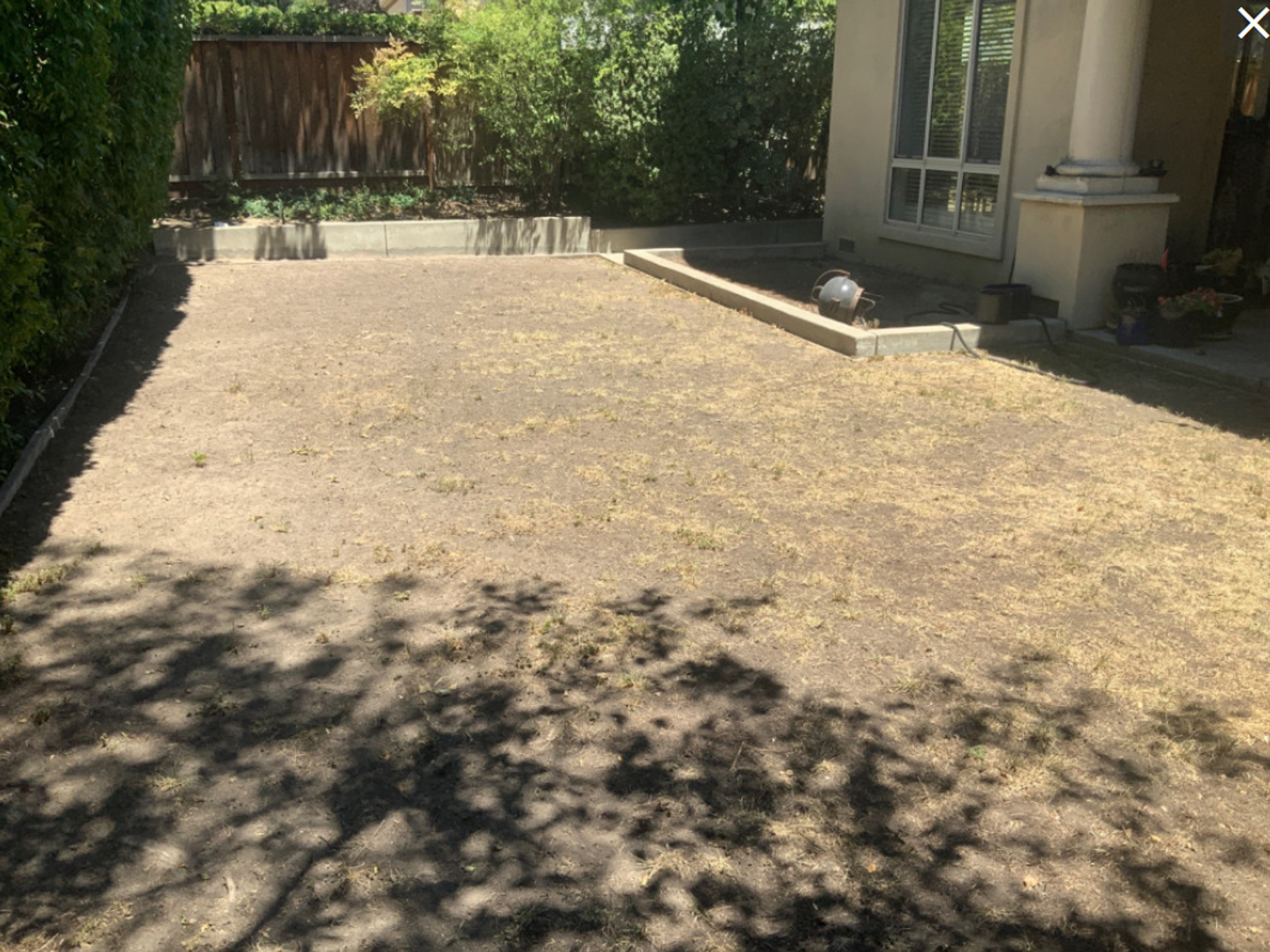 Before/After