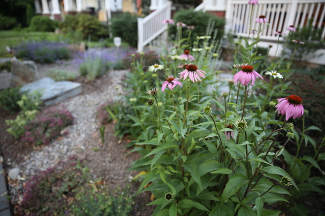 Recent Work country-giardino