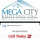 Mega City Roofing Inc