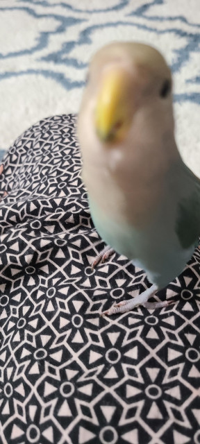 cool pattern 