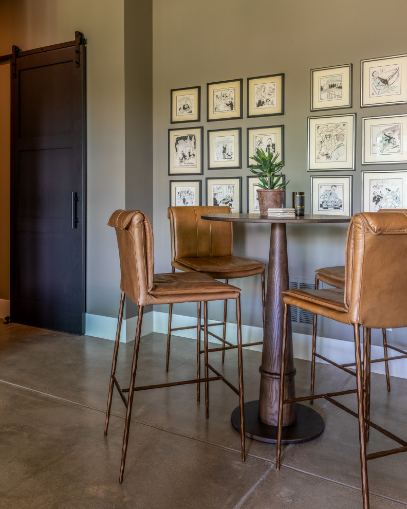 Barn Swallow Basement