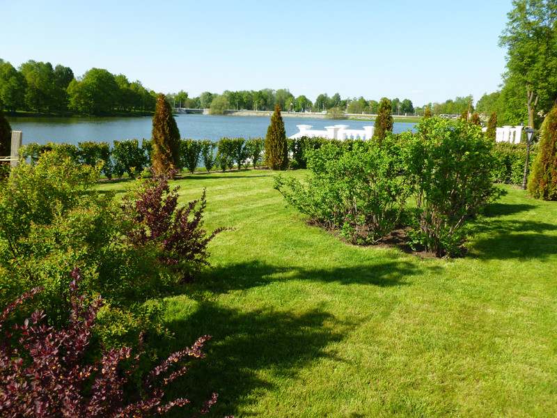 Озеленение