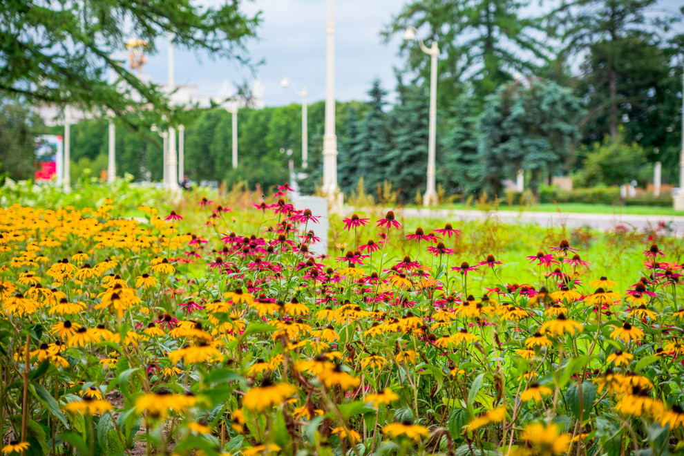 ЛАНДШАФТНЫЙ ПАРК ВДНХ Г.МОСКВА
