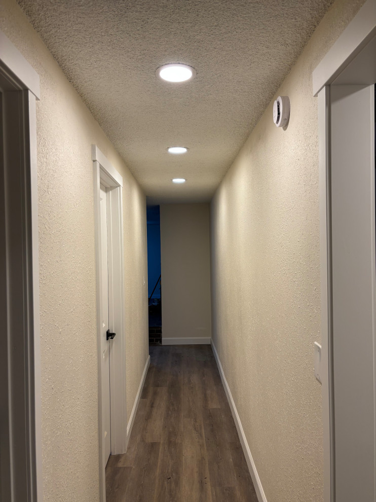 Basement Remodel